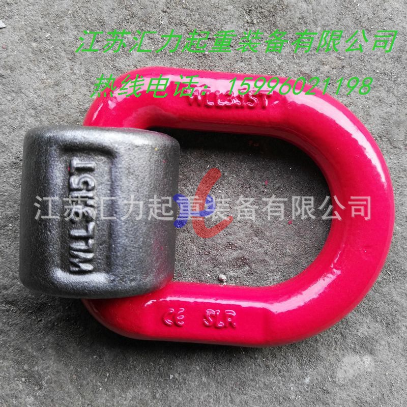 吊環(huán)3-15t (2)